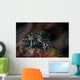 Tiny Crinoid Cuttlefish Sepia Wall Decal Design 2