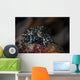Tiny Crinoid Cuttlefish Sepia Wall Decal Design 2