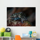 Tiny Crinoid Cuttlefish Sepia Wall Decal Design 2