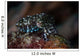 Tiny Crinoid Cuttlefish Sepia Wall Decal Design 2