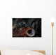 Tiny Crinoid Cuttlefish Sepia Wall Decal Design 1