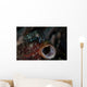 Tiny Crinoid Cuttlefish Sepia Wall Decal Design 1