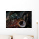 Tiny Crinoid Cuttlefish Sepia Wall Decal Design 1