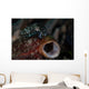 Tiny Crinoid Cuttlefish Sepia Wall Decal Design 1