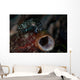 Tiny Crinoid Cuttlefish Sepia Wall Decal Design 1