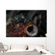 Tiny Crinoid Cuttlefish Sepia Wall Decal Design 1