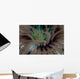 Detail Tentacles Tube Anemone Wall Decal