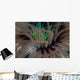 Detail Tentacles Tube Anemone Wall Decal