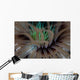 Detail Tentacles Tube Anemone Wall Decal