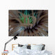 Detail Tentacles Tube Anemone Wall Decal