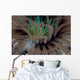 Detail Tentacles Tube Anemone Wall Decal