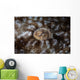 Detail Eye Tasseled Wobbegong Wall Decal Design 1