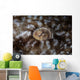 Detail Eye Tasseled Wobbegong Wall Decal Design 1