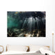 Sunlight Shines into Blue Wall Decal Design 5