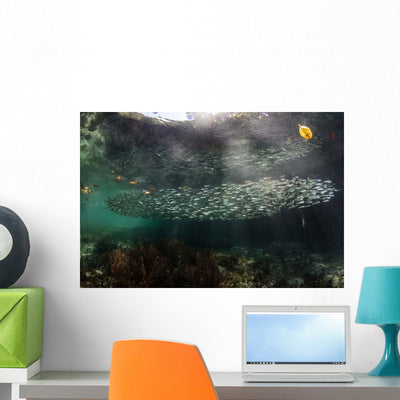 School Silversides Swims Mangrove Wall Decal shown on a wall