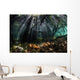 Sunlight Shines into Blue Wall Decal Design 3