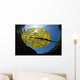 Bright Sunlight Shines down Wall Decal