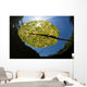 Bright Sunlight Shines down Wall Decal