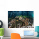 Soft Corals Grow Edge Wall Decal
