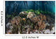 Soft Corals Grow Edge Wall Decal