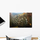 Schooling Minnows Swim through Wall Decal