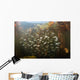 Schooling Minnows Swim through Wall Decal