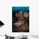Vibrant Soft Corals and Wall Decal Design 2