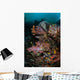 Vibrant Soft Corals and Wall Decal Design 2