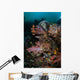 Vibrant Soft Corals and Wall Decal Design 2