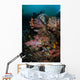 Vibrant Soft Corals and Wall Decal Design 2