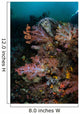 Vibrant Soft Corals and Wall Decal Design 2
