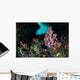 Vibrant Soft Corals and Wall Decal Design 1