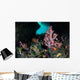 Vibrant Soft Corals and Wall Decal Design 1