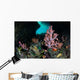 Vibrant Soft Corals and Wall Decal Design 1
