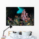 Vibrant Soft Corals and Wall Decal Design 1