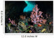 Vibrant Soft Corals and Wall Decal Design 1