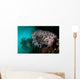 Crinoid and White Sea Wall Decal