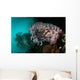 Crinoid and White Sea Wall Decal