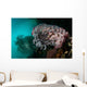 Crinoid and White Sea Wall Decal