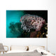 Crinoid and White Sea Wall Decal