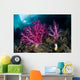 Vibrant Soft Corals Grow Wall Decal Design 5