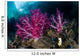 Vibrant Soft Corals Grow Wall Decal Design 5