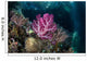 Vibrant Soft Corals Grow Wall Decal Design 4