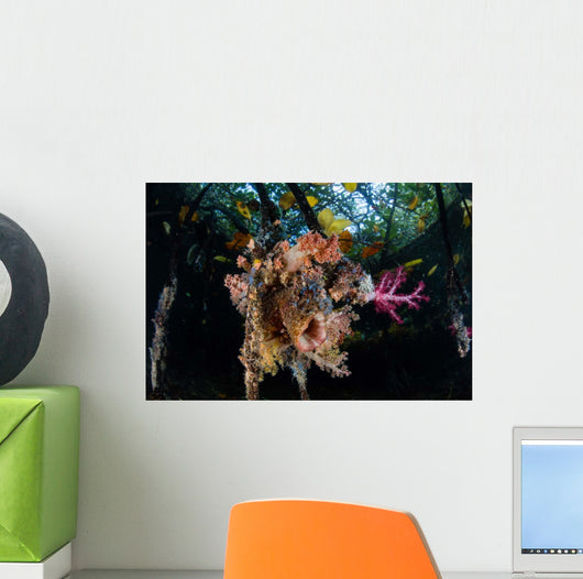Colorful Soft Corals and Wall Decal