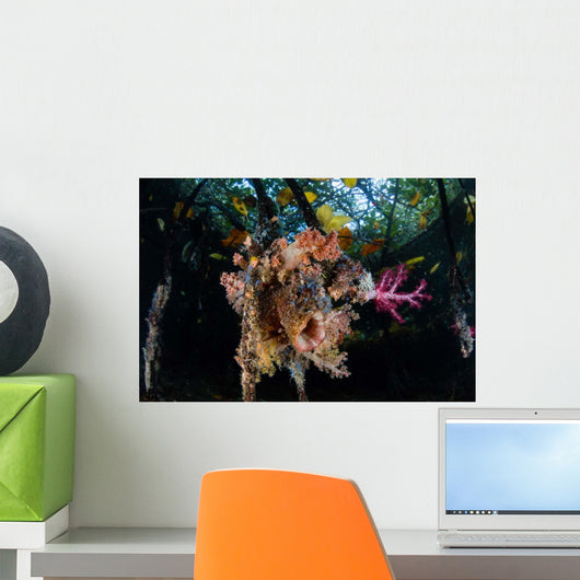 Colorful Soft Corals and Wall Decal