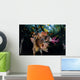 Colorful Soft Corals and Wall Decal