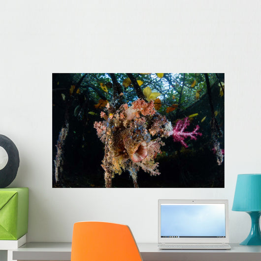 Colorful Soft Corals and Wall Decal