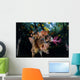 Colorful Soft Corals and Wall Decal