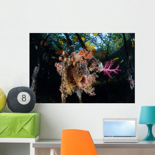 Colorful Soft Corals and Wall Decal