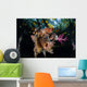 Colorful Soft Corals and Wall Decal
